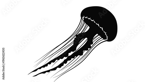 A striking black jellyfish illustration against a white background silhouette
