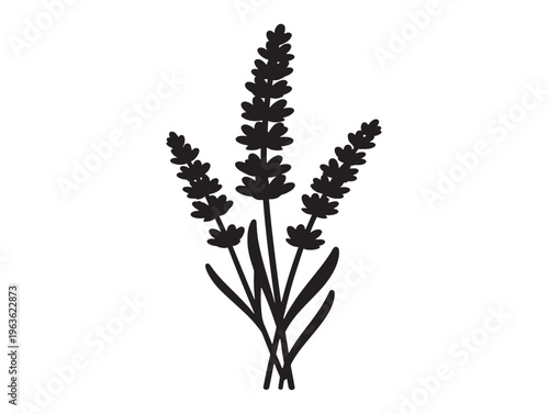 Rustic lavender botanical stamp silhouette for farmhouse and artisan branding