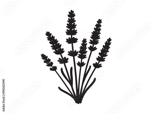 Beautiful lavender botanical stamp silhouette for organic skincare packaging