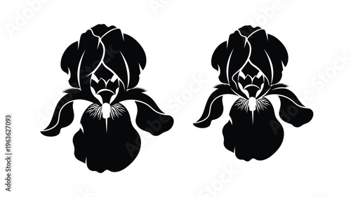 Two detailed iris flowers presented as a striking black silhouette