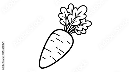 Fresh white root vegetable illustration.