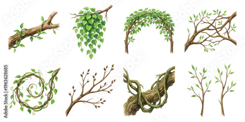 Watercolor set of tree branches vines ivy and creeping plants with spring foliage leaves and buds isolated on transparent background