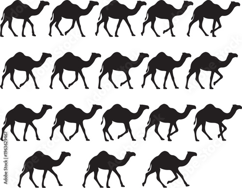 Desert Camel Caravan Silhouette Vector Illustration