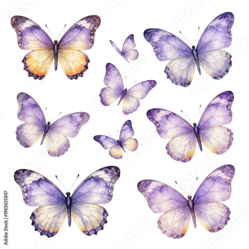 Collection of watercolor butterflies in various sizes and shades of purple and orange, showcasing intricate wing patterns and delicate features on a white background