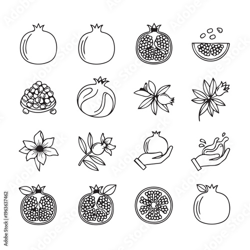 Pomegranate Icons: Whole Fruit Halved Seeds Blossom Hand SplashLine Art Style