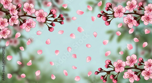 Spring sakura blossom with flying pink petals, floral background.