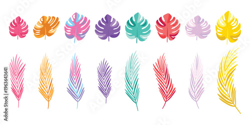 Colorful set of tropical leaves, monstera palm branches Vibrant summer style. Perfect for graphic design, invitations, posters summer-themed projects. High-quality 2D illustrations for commercial use