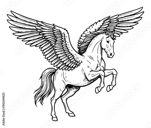 Fotografie Hand drawn pegasus flying horse line art