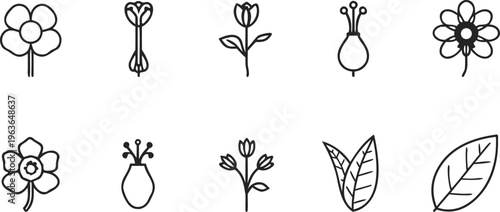 "Collection of elegant minimalistic botanical line art icons featuring flowers, leaves, buds, and seed pods for modern design projects"