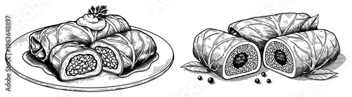 Traditional stuffed cabbage rolls and wraps served on a plate hand drawn sketches