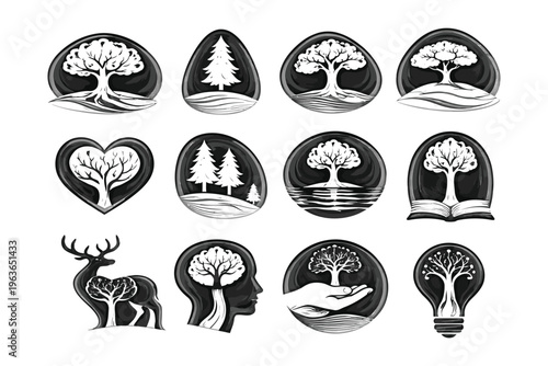 Elegant illustrations of nature and wisdom intertwined with symbolic elements