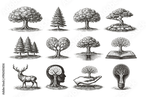 Symbolic illustrations of nature and human connection through trees