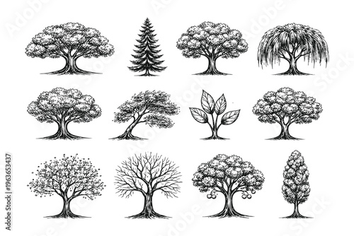 Diverse illustrations of twelve distinct tree types in monochromatic art style