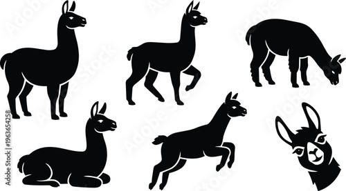 Black silhouette llamas in six distinct poses vector art showing standing walking grazing and reclining