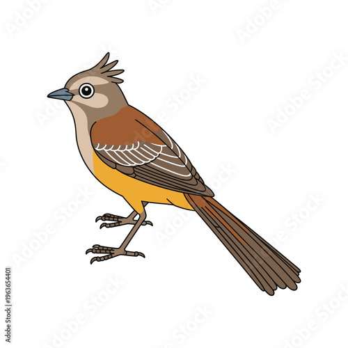 Robin perched on a tree branch in spring surrounded by colorful feathers and nature