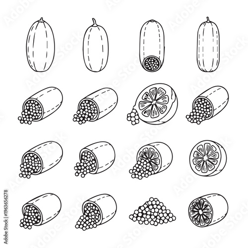 Citrus Caviar Fruit Segments and Pods Isolated on White Hand-Drawn Style