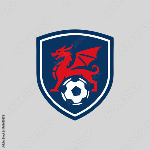 Dragon Football, soccer  Logo Design