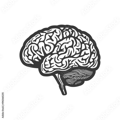 An illustrative depiction of a human brain in side profile