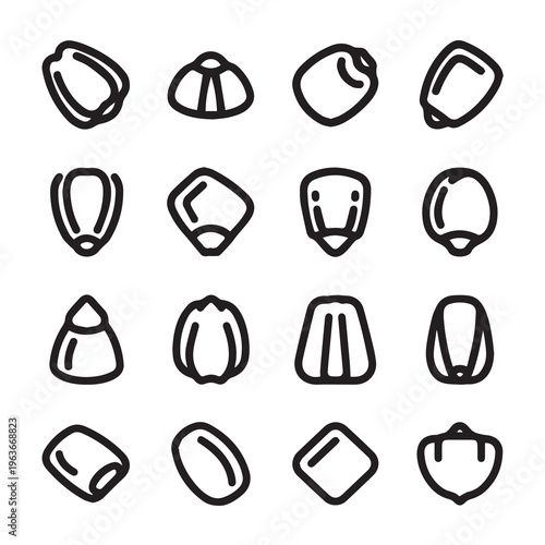 Corn Kernels Various Shapes Outline Icons Isolated on White Background Macro Detail
