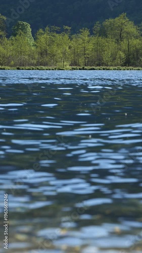 Blue Mountain Lake and Deciduous Trees in Spring Turquoise Aquamarine Lake Almsee 