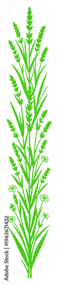 Fototapeta premium Vertical green lavender floral border with delicate wildflowers and foliage creating a fresh decorative divider for stationery packaging and organic design projects.
