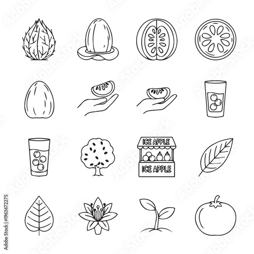 Exotic Fruits and Plants Line Art Icons: Dragon Fruit Ice Tomato Sapling Flower Leaves