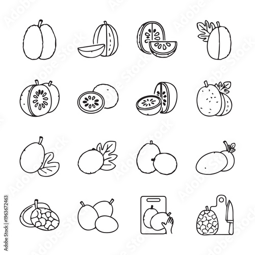 Exotic Fruits Collection: Whole Sliced and Prepared for Culinary Use Hand-Drawn Sketch Style