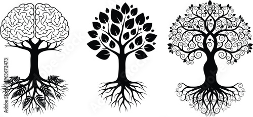 Complex neural network patterns visualized in brain and tree-like structures isolated on transparent background