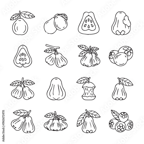 Exotic Tropical Fruits Collection Line Art Vector Graphics: Healthy Food Illustrations