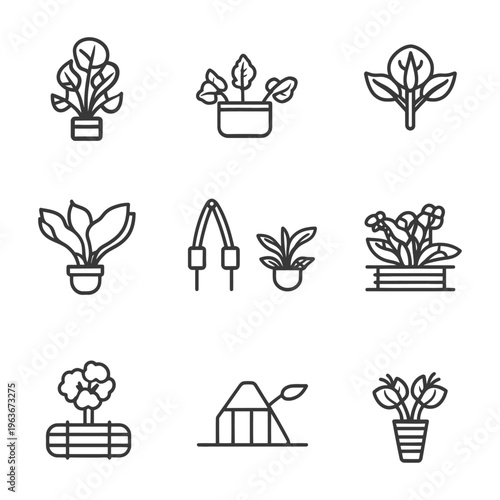 Simple line art drawings of various potted plants and tools