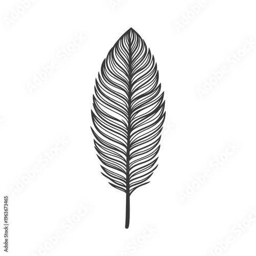 An elegant black and white illustration of a feather with details