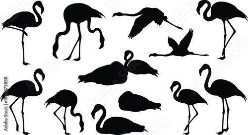 Flamingo silhouettes collection featuring standing, walking, flying poses, elegant birds, tropical wildlife, nature conservation, artistic vector illustration