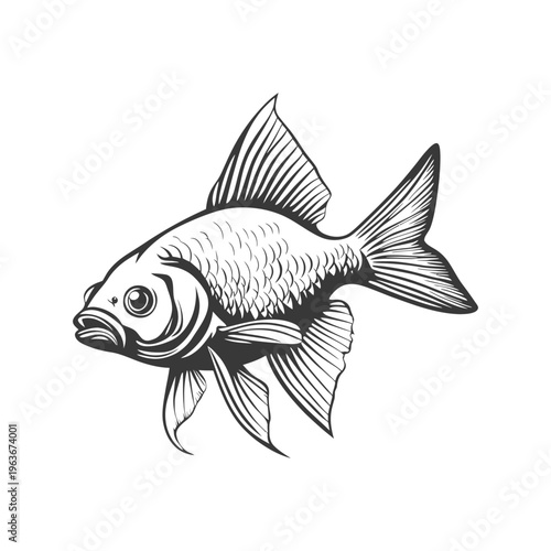 A detailed black and white illustration of a swimming goldfish