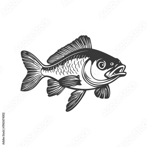 A detailed grayscale illustration depicting a swimming fish in profile view