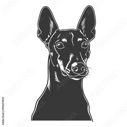 A detailed monochrome image of a dog looking forward