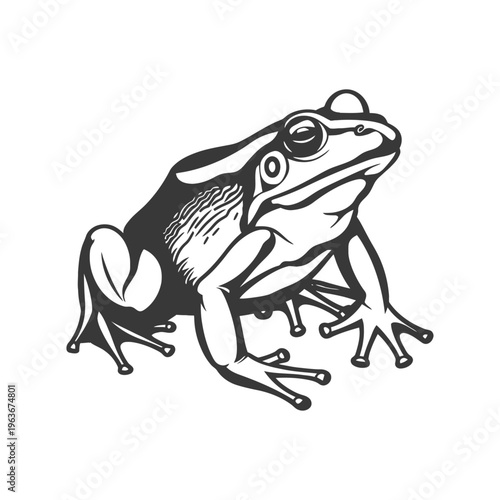A stylized black and white depiction of a sitting amphibian frog