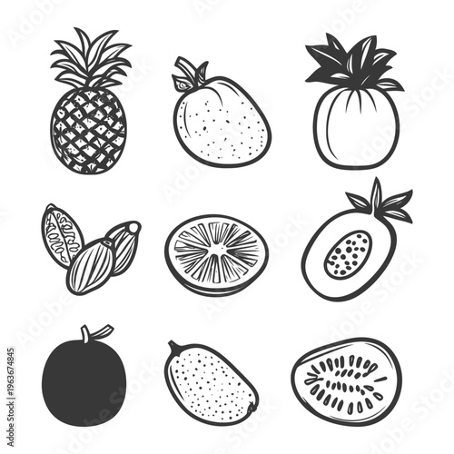 Black and white illustrations of multiple varieties of fruits
