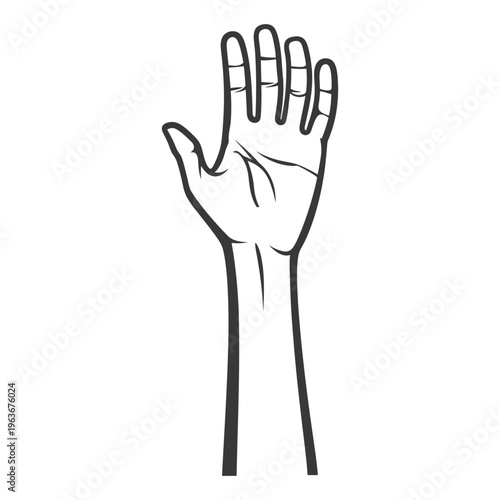 An upwardly extended hand showing the palm and fingers clearly