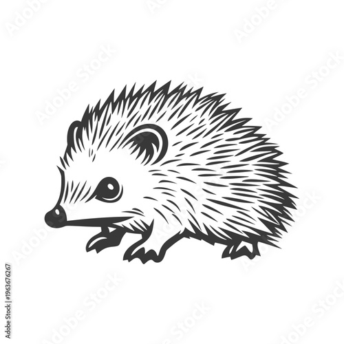 A detailed black and white drawing of a small hedgehog