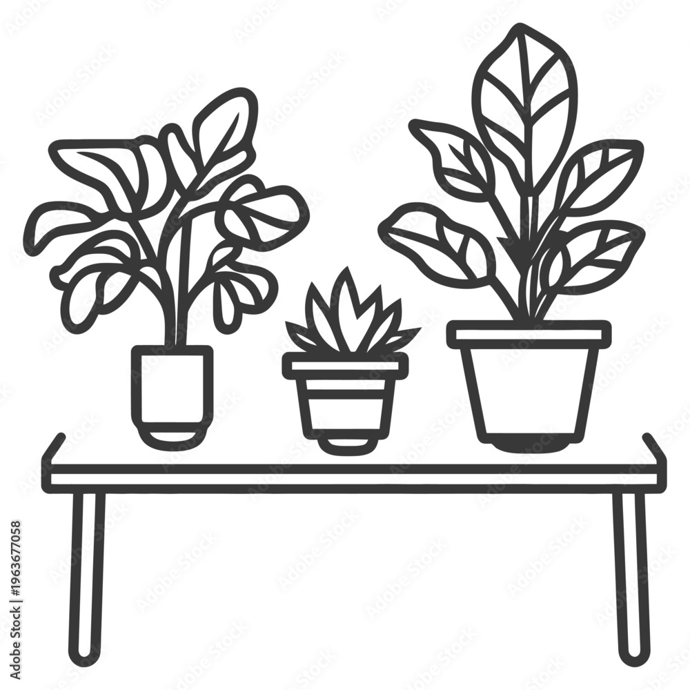 Obraz premium Three potted house plants arranged on a simple modern shelf