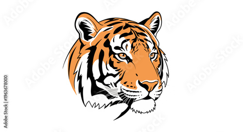 Vibrant illustration of a tiger's head.