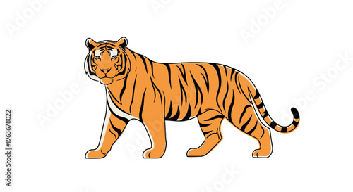 Illustration of a walking tiger.