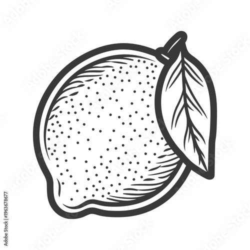 A black and white illustration depicts a lemon with a leaf
