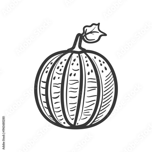 A simple line drawing illustration showing a rounded squash vegetable