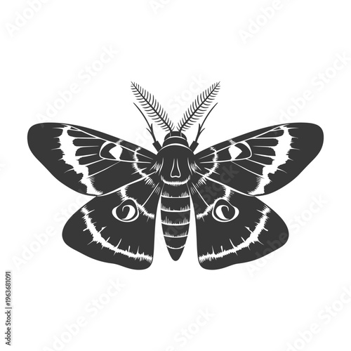 A symmetrical black and white illustration of a moth