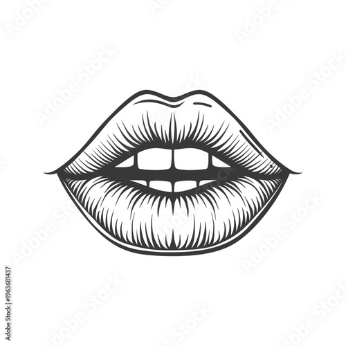 Detailed illustration displaying upper and lower lips with teeth