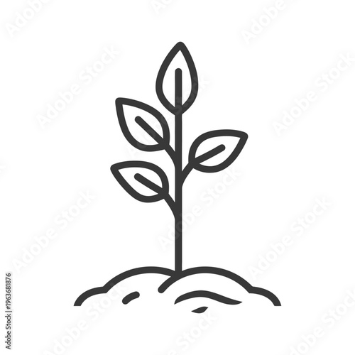 A small green plant grows from a clump of earth