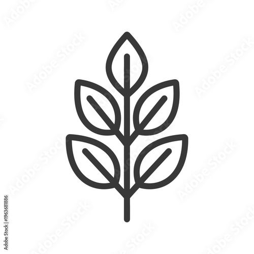 Simple line drawing depicting a plant with several leaves and stem