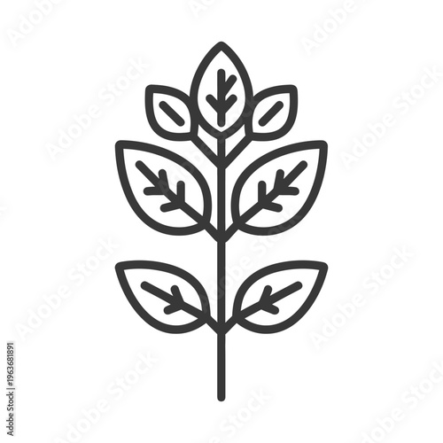 A simple illustrated stem with multiple green leaves arranged symmetrically