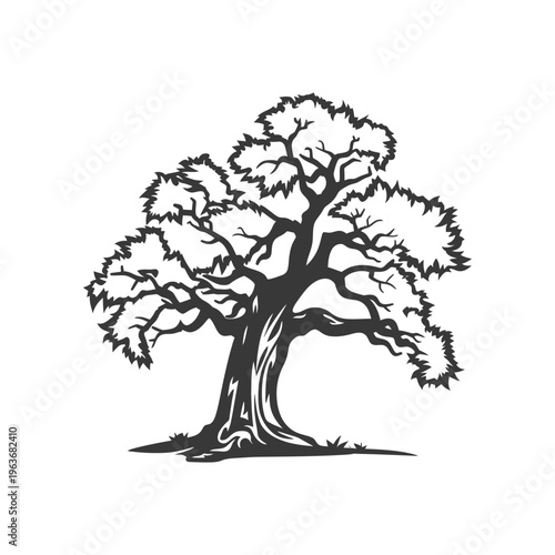 A stylized black and white depiction of a mature tree